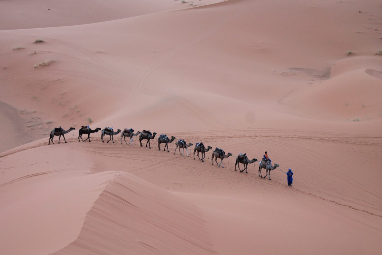 Marrakech Desert Tours 2 Days