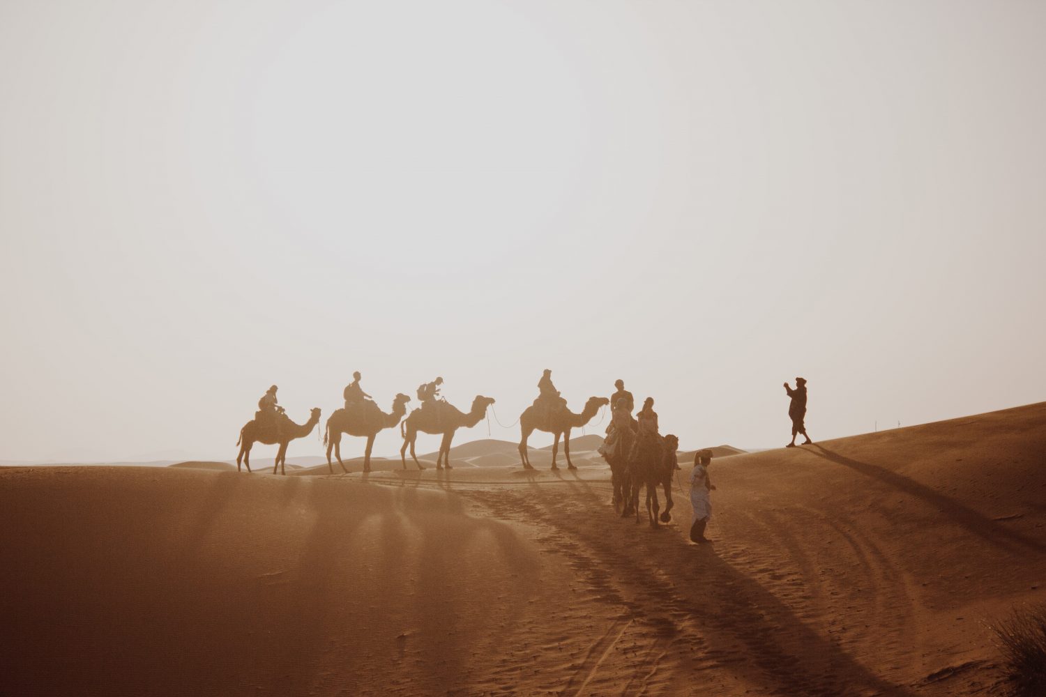 Marrakech Desert Tours 2