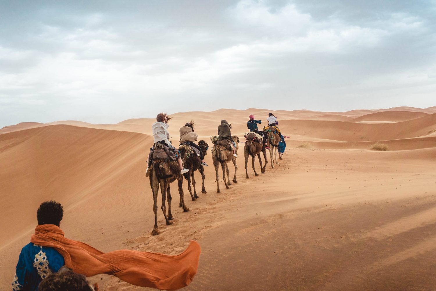 Sahara Desert ride camels