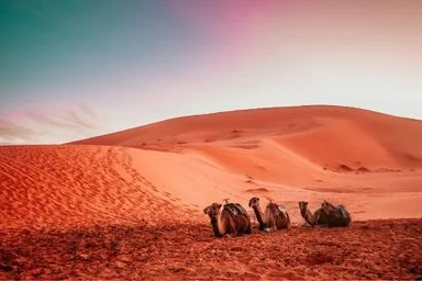 Marrakech Desert Tours- Authentic 5 Days Tour From Marrakech