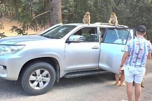 About Morocco Custom Tour